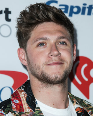 Niall Horan puzzle G1037502