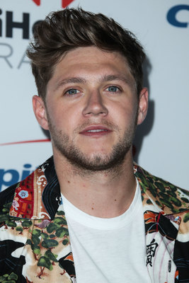 Niall Horan puzzle G1037547