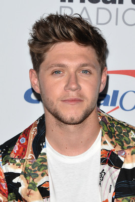 Niall Horan puzzle G1037553