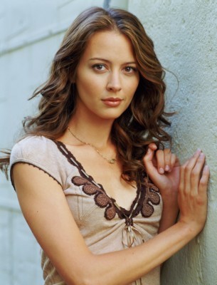 Amy Acker poster with hanger