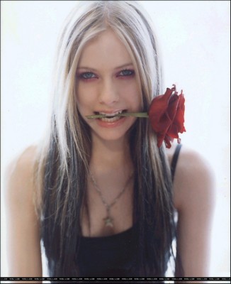 Avril Lavigne Stickers G115498