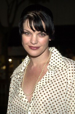 Pauley Perrette puzzle G115897