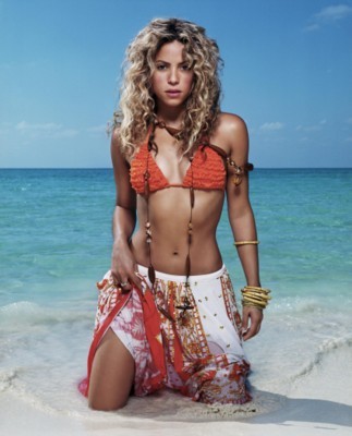 Shakira poster with hanger