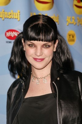 Pauley Perrette wooden framed poster