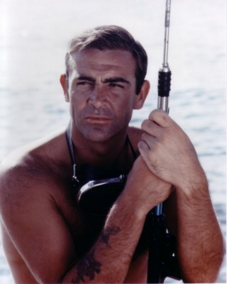 Sean Connery canvas poster