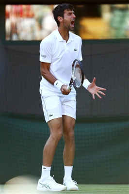Novak Djokovic wooden framed poster