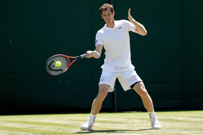 Andy Murray canvas poster