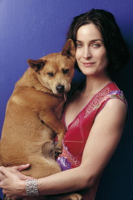 Carrie-anne Moss Poster G1605754