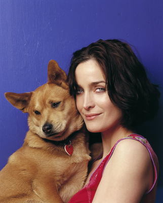 Carrie-anne Moss Poster G1605757