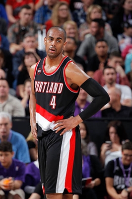 Arron Afflalo Stickers G1610008
