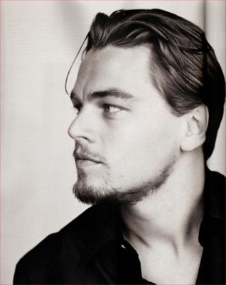 Leonardo DiCaprio metal framed poster