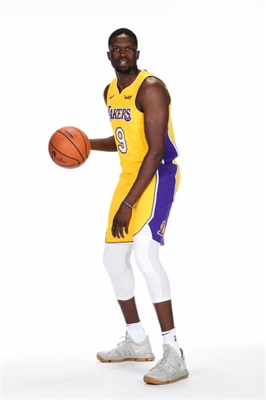 Luol Deng puzzle G1631088