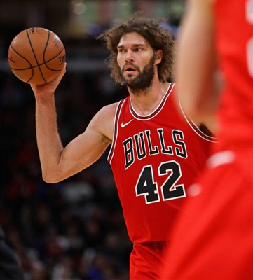 Robin Lopez poster with hanger