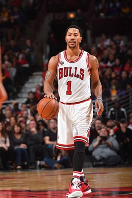 Derrick Rose canvas poster