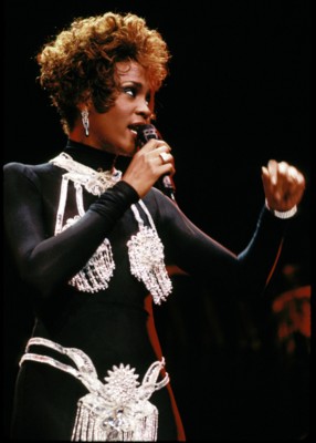 Whitney Houston Stickers G169034