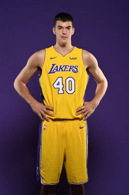 Ivica Zubac puzzle G1703624