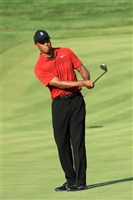 Tiger Woods tote bag #G1746934