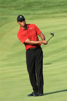 Tiger Woods puzzle G1746934