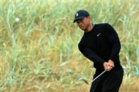 Tiger Woods hoodie #2288306