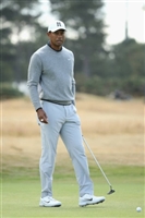 Tiger Woods sweatshirt #2288318