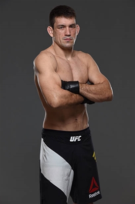 Demian Maia canvas poster