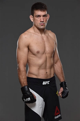 Demian Maia poster with hanger