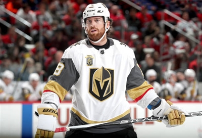 James Neal puzzle G1807588