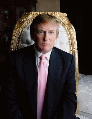 Donald Trump metal framed poster
