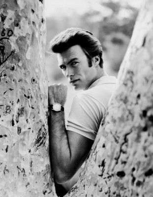 clint eastwood Poster G226425