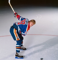 Wayne Gretzky hoodie #2821686