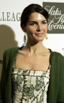 Angie Harmon Poster G228263