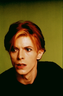 David Bowie puzzle G2287728