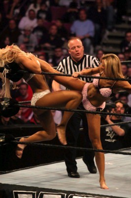 Stacy Keibler Poster G23332
