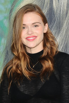 Holland Roden puzzle G2406325