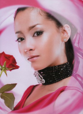 Erika Sawajiri poster with hanger