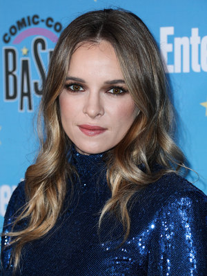 Danielle Panabaker puzzle G2470941