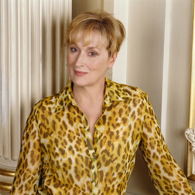 Meryl Streep pillow