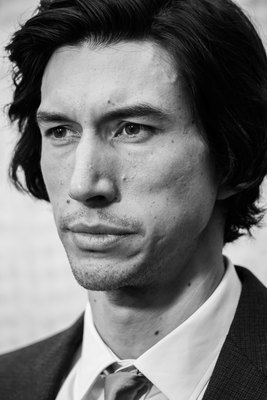 Adam Driver puzzle G2513771