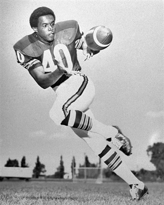Gale Sayers poster