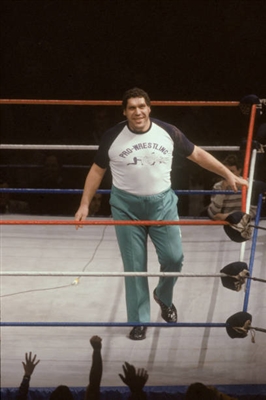 AndrÃ© The Giant canvas poster