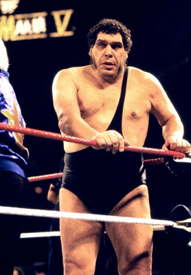 AndrÃ© The Giant poster