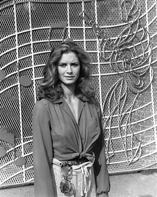Stephanie Zimbalist poster with hanger