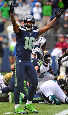 Sidney Rice puzzle G2638895