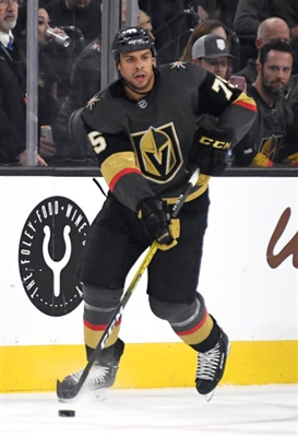 Ryan Reaves poster with hanger