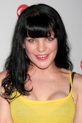 Pauley Perrette puzzle G294894