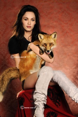 Megan Fox Poster G297264