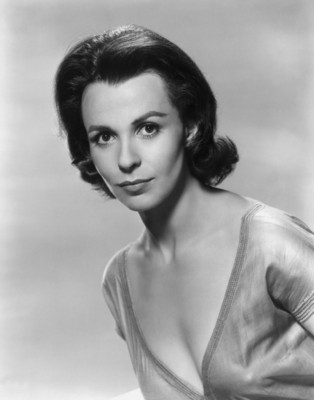 Claire Bloom wooden framed poster