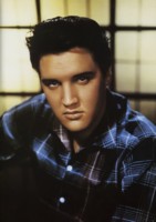 Elvis Presley hoodie #295047