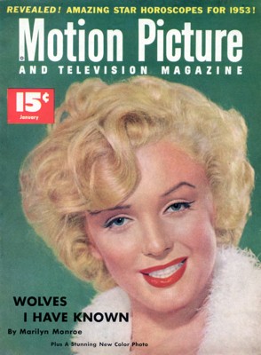 Marilyn Monroe puzzle G309249