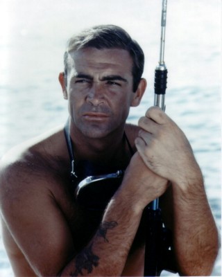 Sean Connery Poster G311227